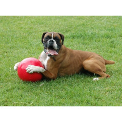 Boomer Ball L - 8" / 20cm czerwona