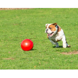 Boomer Ball L - 8" / 20cm czerwona