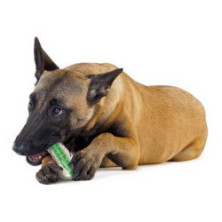 Petstages CrunchCore small PS264