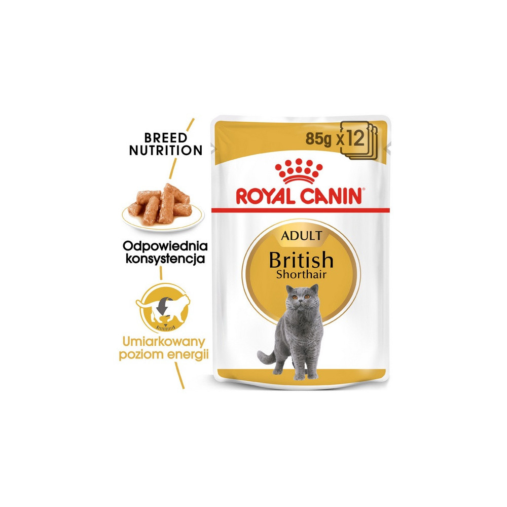 Royal Canin British Shorthair karma mokra w sosie dla kotów dorosłych rasy brytyjski krótkowłosy saszetka 85g