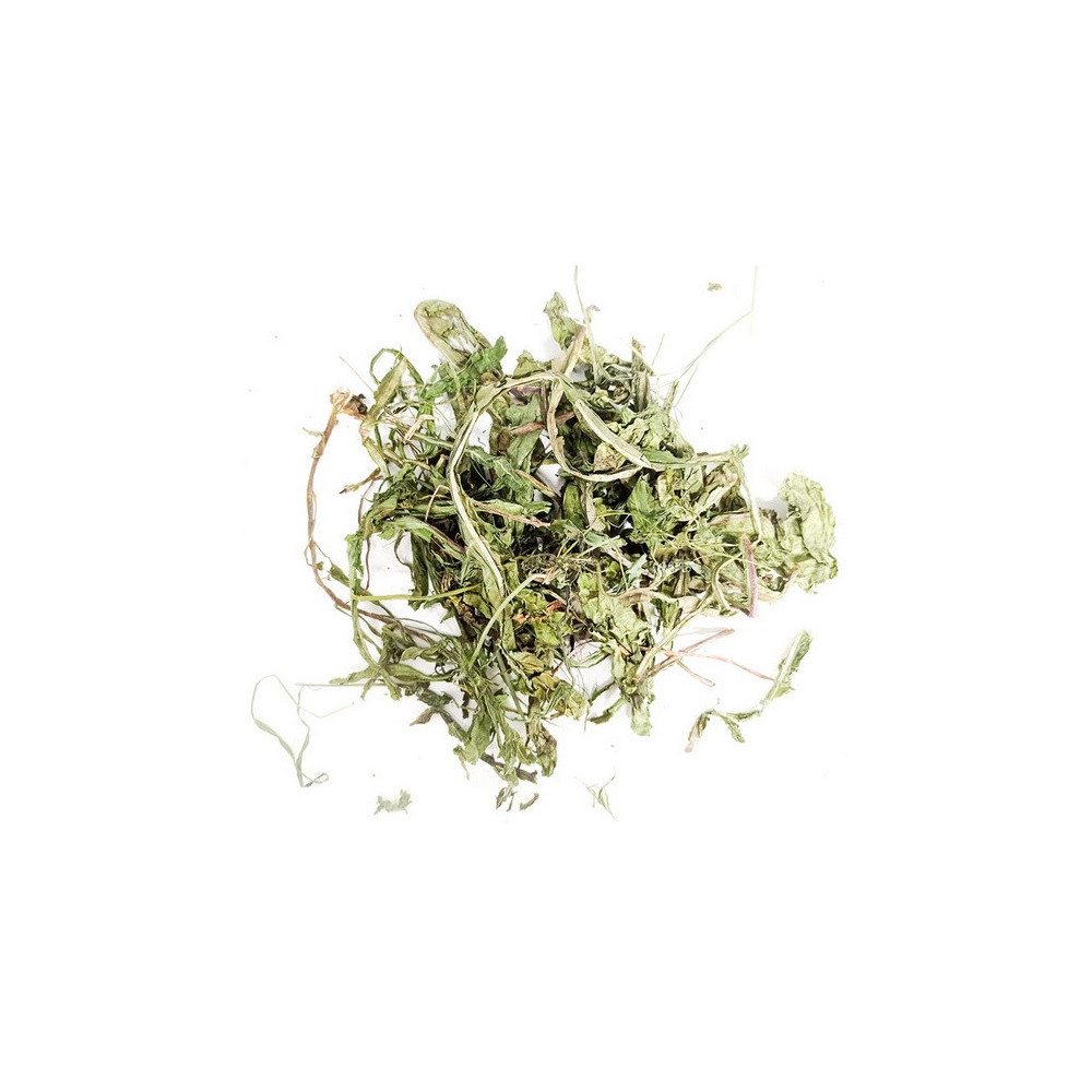Wio-Mar Mniszek lekarski 150g