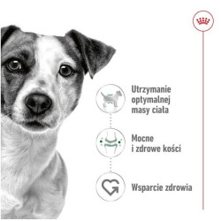 Royal Canin Mini Adult karma sucha dla psów dorosłych, ras małych 0,8kg