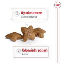 Royal Canin Mini Adult karma sucha dla psów dorosłych, ras małych 0,8kg