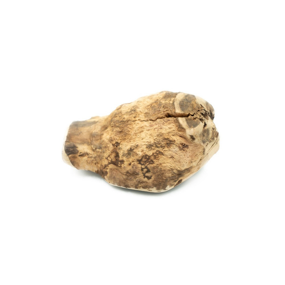 4DOGS Gryzak z korzenia drzewa wrzosowego XL