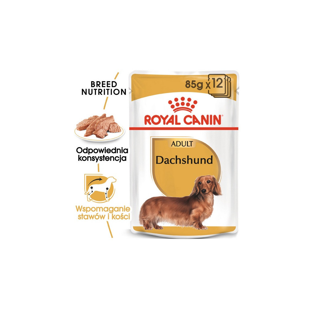 Royal Canin Dachshund karma mokra - pasztet, dla psów dorosłych rasy jamnik saszetka 85g