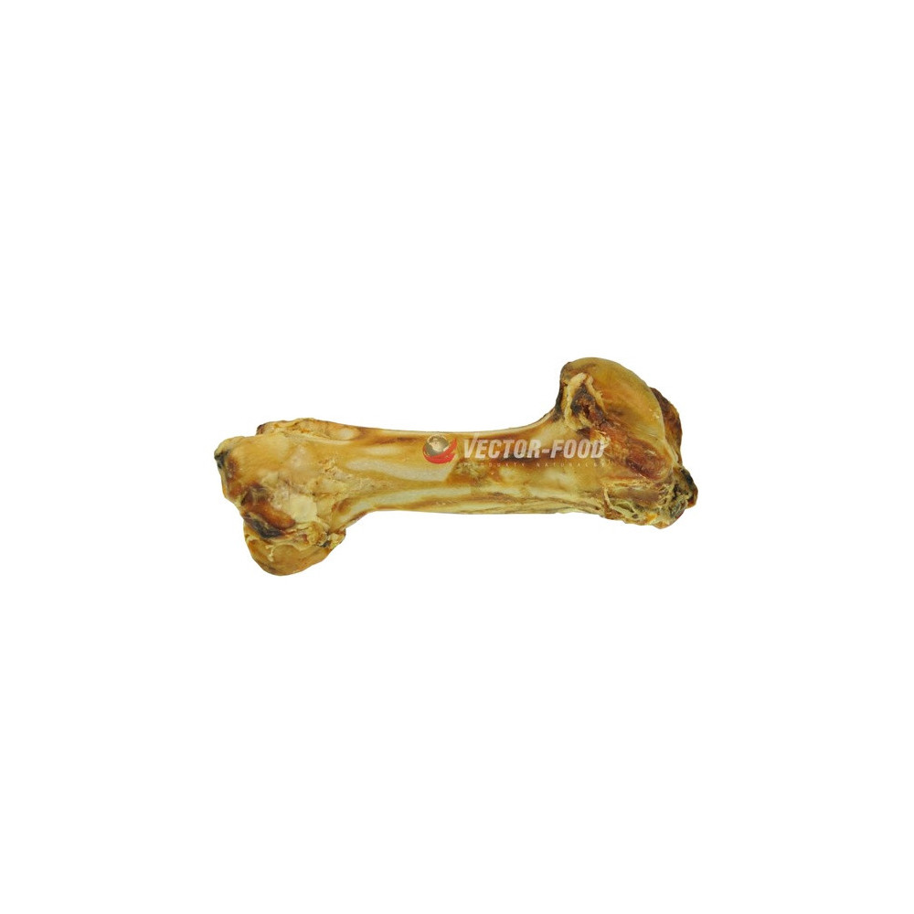 Vector-Food Kość wołowa gigant 1szt.