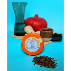 Ovad Hello Yellow Mus owadziany z miso ramen puszka 140g