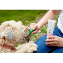 Vet's Best Dental żel + szczoteczka zestaw Puppy