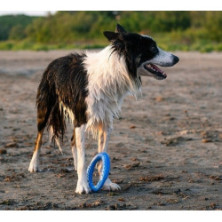 Kiwi Walker Let's Play Ring Mini niebieski