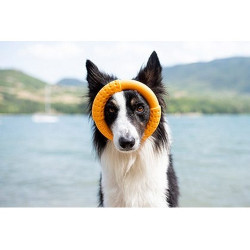 Kiwi Walker Let's Play Ring Maxi pomarańczowy