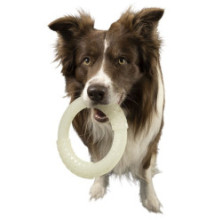 Kiwi Walker Let's Play Glow Ring Maxi