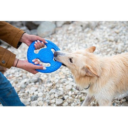 Kiwi Walker Let's Play Frisbee Maxi niebieskie