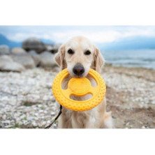 Kiwi Walker Let's Play Frisbee Maxi pomarańczowe