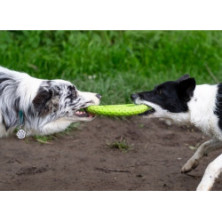 Kiwi Walker Let's Play Frisbee Maxi pomarańczowe