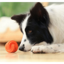 PetDreamHouse Zabawka gumowa Geo-Hex czerwona