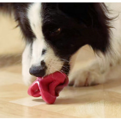 PetDreamHouse Zabawka gumowa Geo-Astro Rolly czerwona