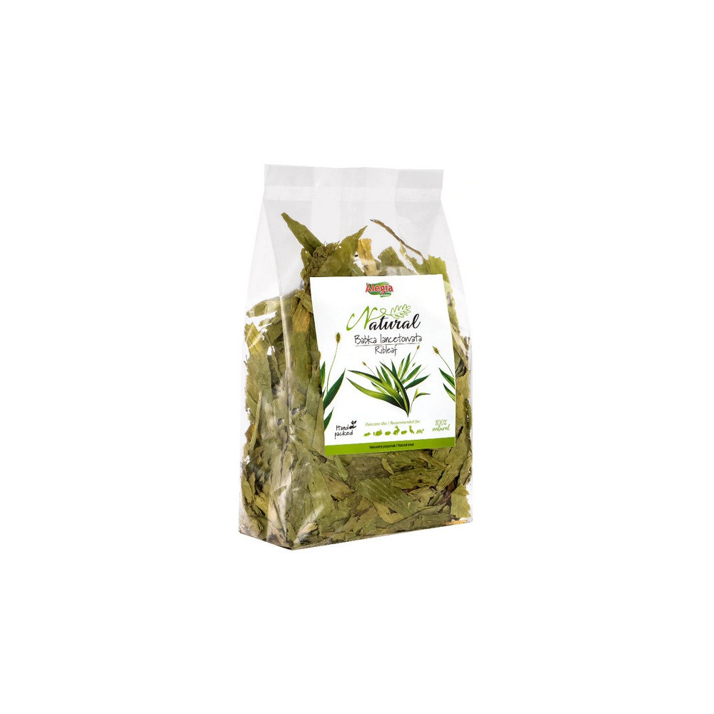 Alegia Babka lancetowata 100g