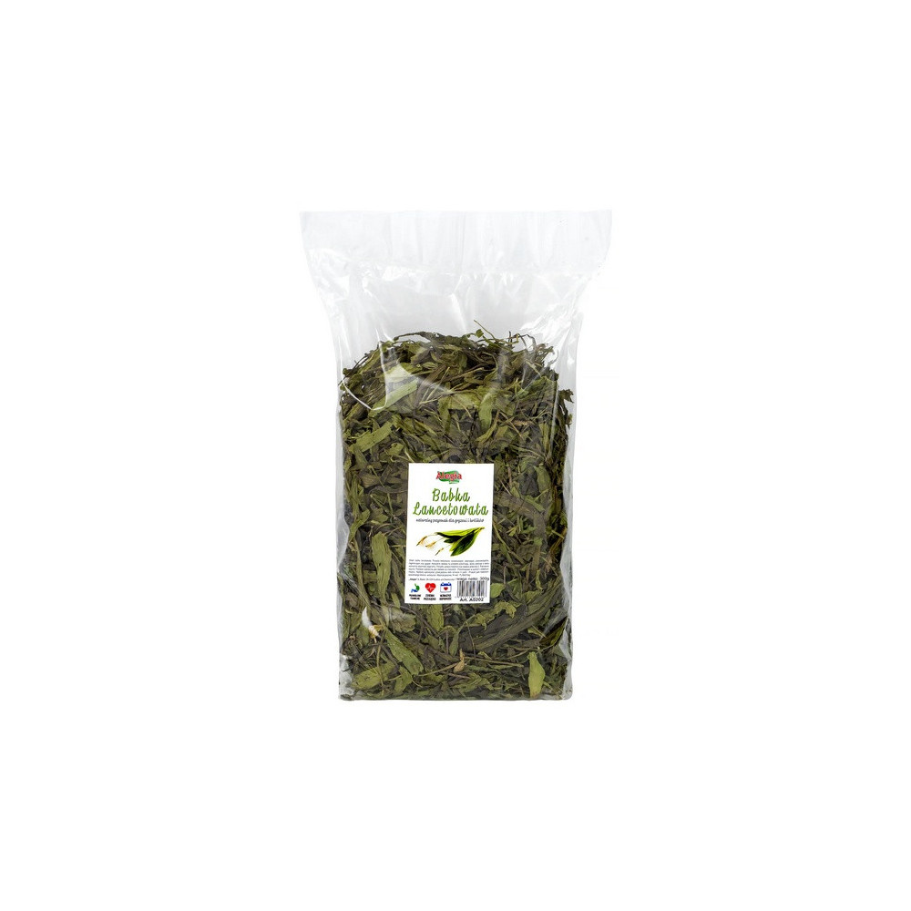 Alegia Babka lancetowata 300g