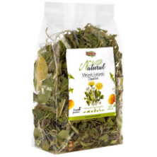 Alegia Mniszek lekarski 90g