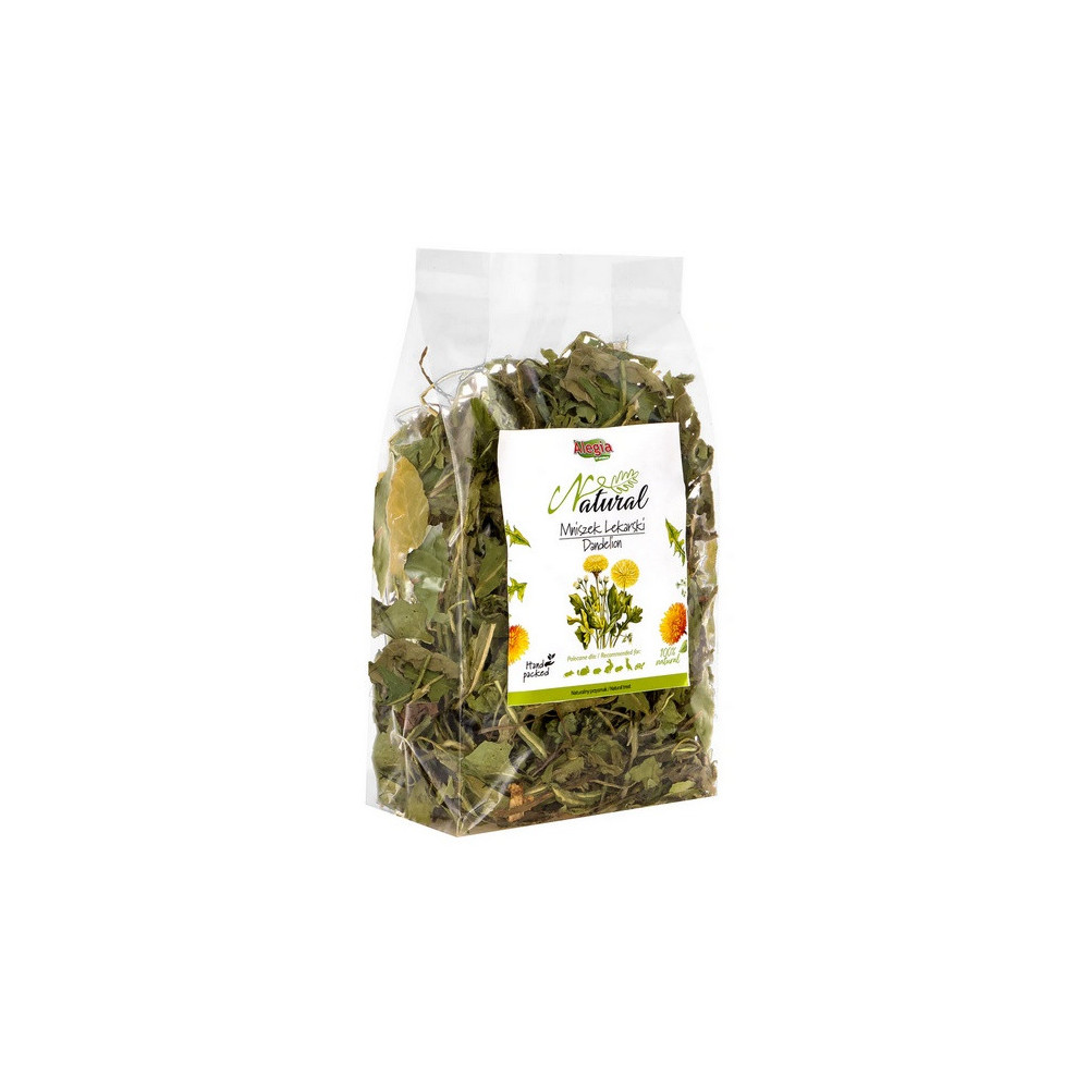 Alegia Mniszek lekarski 90g