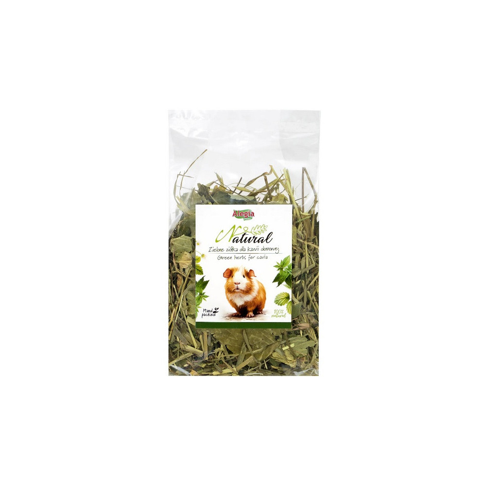 Alegia Natural Zielone ziółka dla kawii domowej 100g