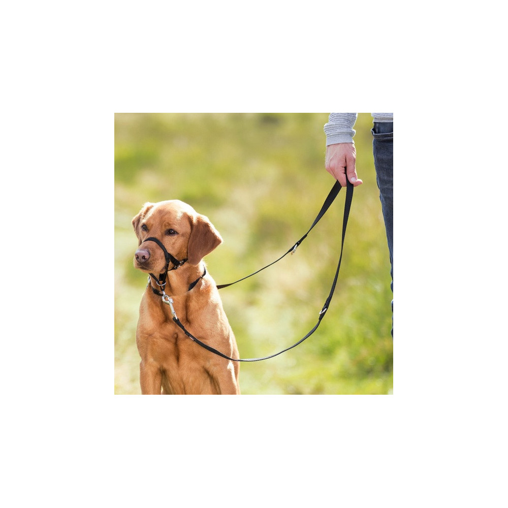 Trixie Uprząż Top Trainer S 22cm [13002]