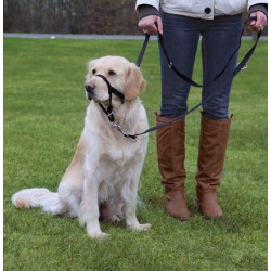 Trixie Uprząż Top Trainer S 22cm [13002]