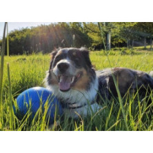 Boomer Ball L - 8" / 20cm niebieska