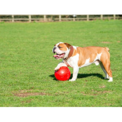 Boomer Ball XL - 10" / 25cm czerwona