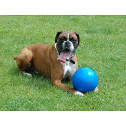Boomer Ball XL - 10" / 25cm niebieska