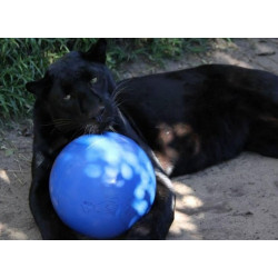 Boomer Ball XL - 10" / 25cm niebieska