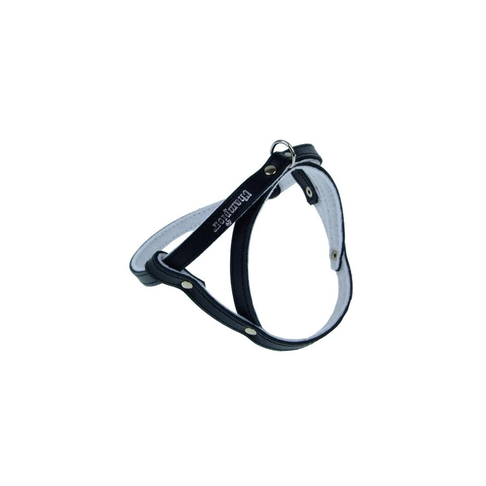 Champion Szelki 40 czarne [SD]