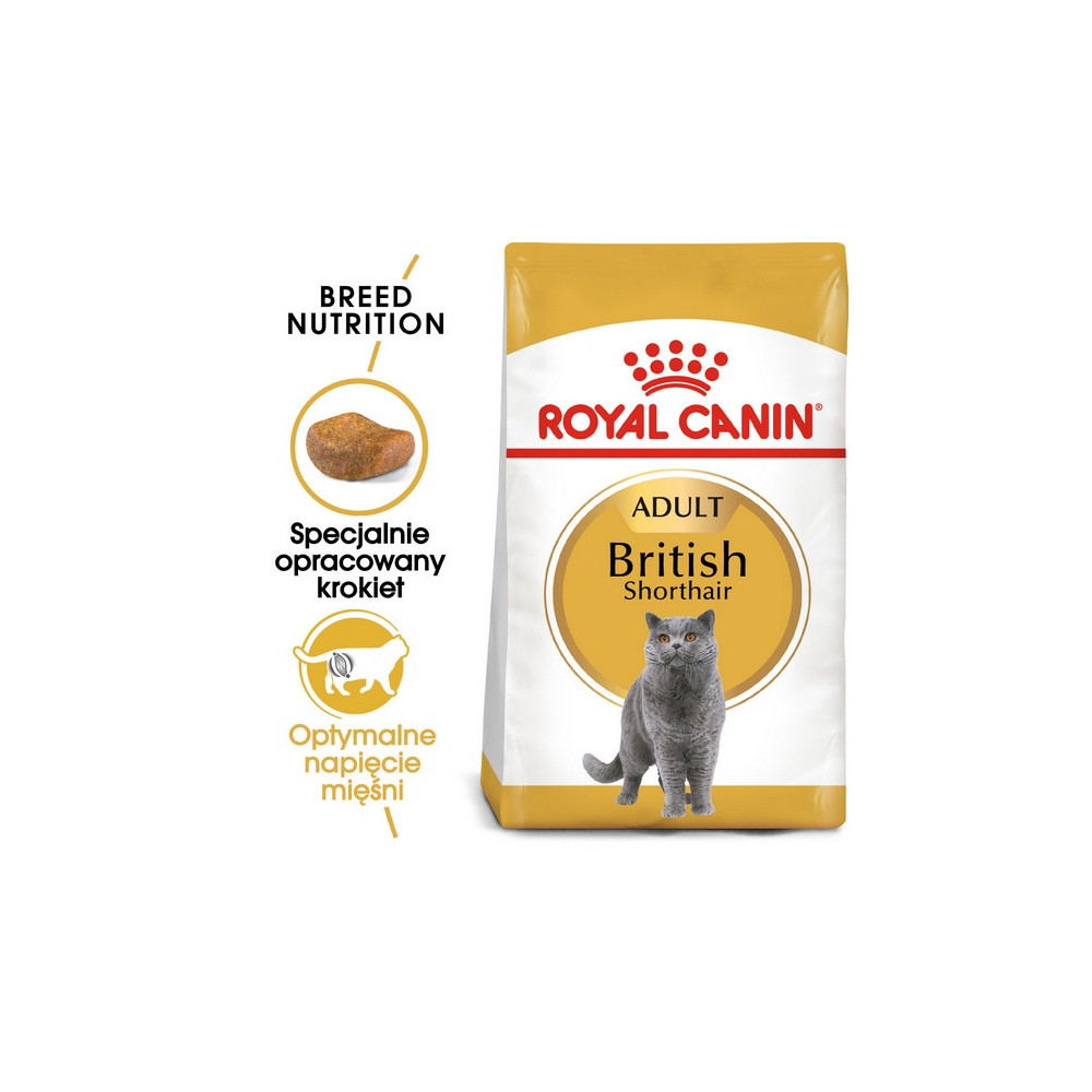 Royal Canin British Shorthair Adult karma sucha dla kotów dorosłych rasy brytyjski krótkowłosy 2kg