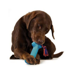 Petstages Orka Kość z sznurem PS230