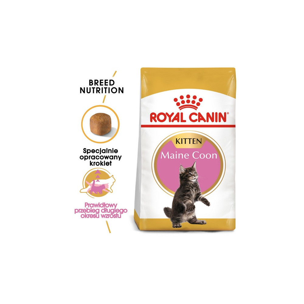 Royal Canin Maine Coon Kitten karma sucha dla kociąt, do 15 miesiąca, rasy maine coon 4kg