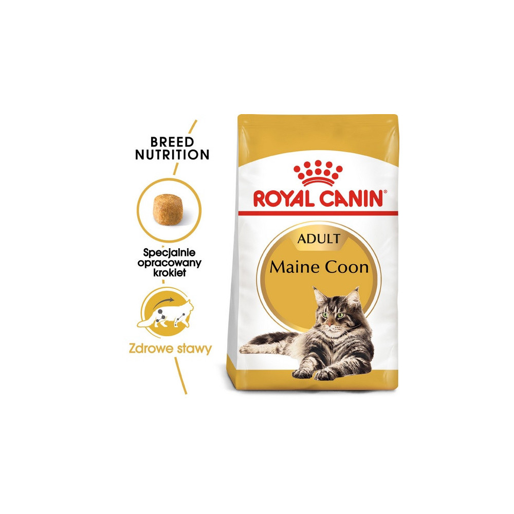 Royal Canin Maine Coon Adult karma sucha dla kotów dorosłych rasy maine coon 4kg
