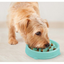 Outward Hound Fun Feeder Tiny (XS) Miska spowalniająca miętowa [67829]