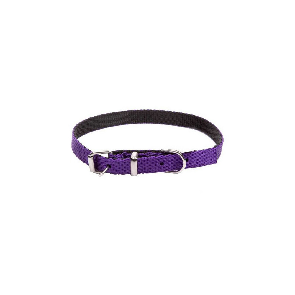 Dingo Obroża taśma Energy 1,2cm/40cm fioletowa