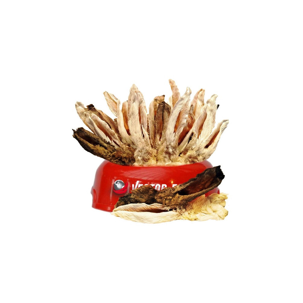 Vector-Food Uszy królicze z sierścią 5szt