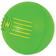 JW Pet iSqueak Ball Medium [32124D]