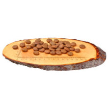 Carnilove Dog Fresh Carp & Trout Adult - karp i pstrąg 1,5kg