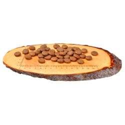 Carnilove Dog Fresh Carp & Trout Adult - karp i pstrąg 1,5kg