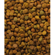 Versele-Laga Oke Cat Classic Variety 10kg