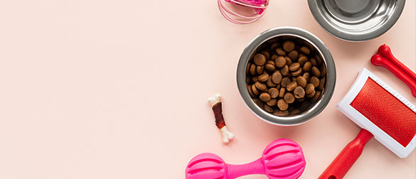 cms-banner2